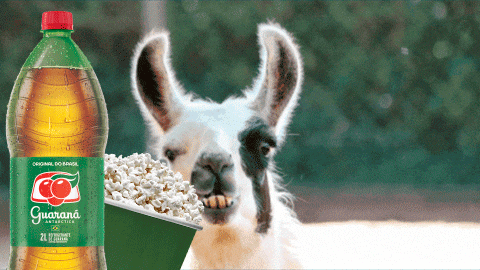 _guaranaantarctica giphyupload popcorn soda manu GIF