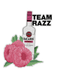 Pink Alcohol Sticker by Bacardi México