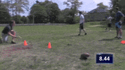 big cat kfc GIF by Barstool Sports