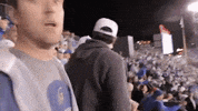 big cat kfc GIF by Barstool Sports