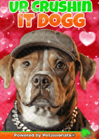 Snoop Dogg Success GIF by PetJuvenate - PJ