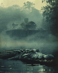 Art House GIF