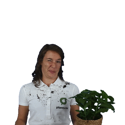 plantsome giphyupload plant plants oops Sticker