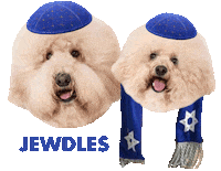 Dog Star Sticker