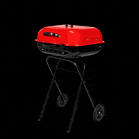 americanagrills grill grilling charcoal charcoal grill GIF