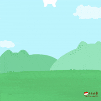 Happiness is landing