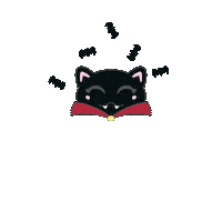 Black Cat Sticker