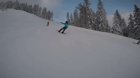 snow snowboarding GIF
