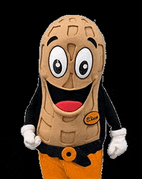 fselrincon cool good ok correct GIF