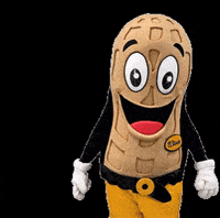 fselrincon no no no no nonono no no GIF