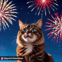 New Year Celebration Cute Cat GIF