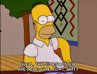 homer simpson simpsons GIF