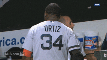 bos GIF by MLB