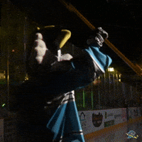 Fun Celebrate GIF by Quad City Storm