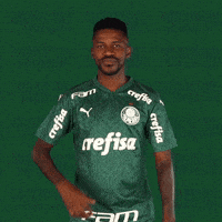 Puma Escudo GIF by SE Palmeiras