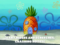 season 5 GIF by SpongeBob SquarePants
