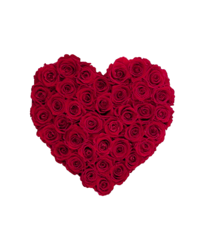 valentines day love Sticker by Venus ET Fleur