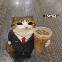 Business Man Cat GIF