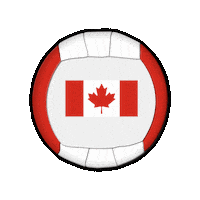 Ball Canada Sticker by Swiss Dodgeball