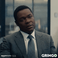 amazon youhavegottobekiddingme GIF by Gringo Movie