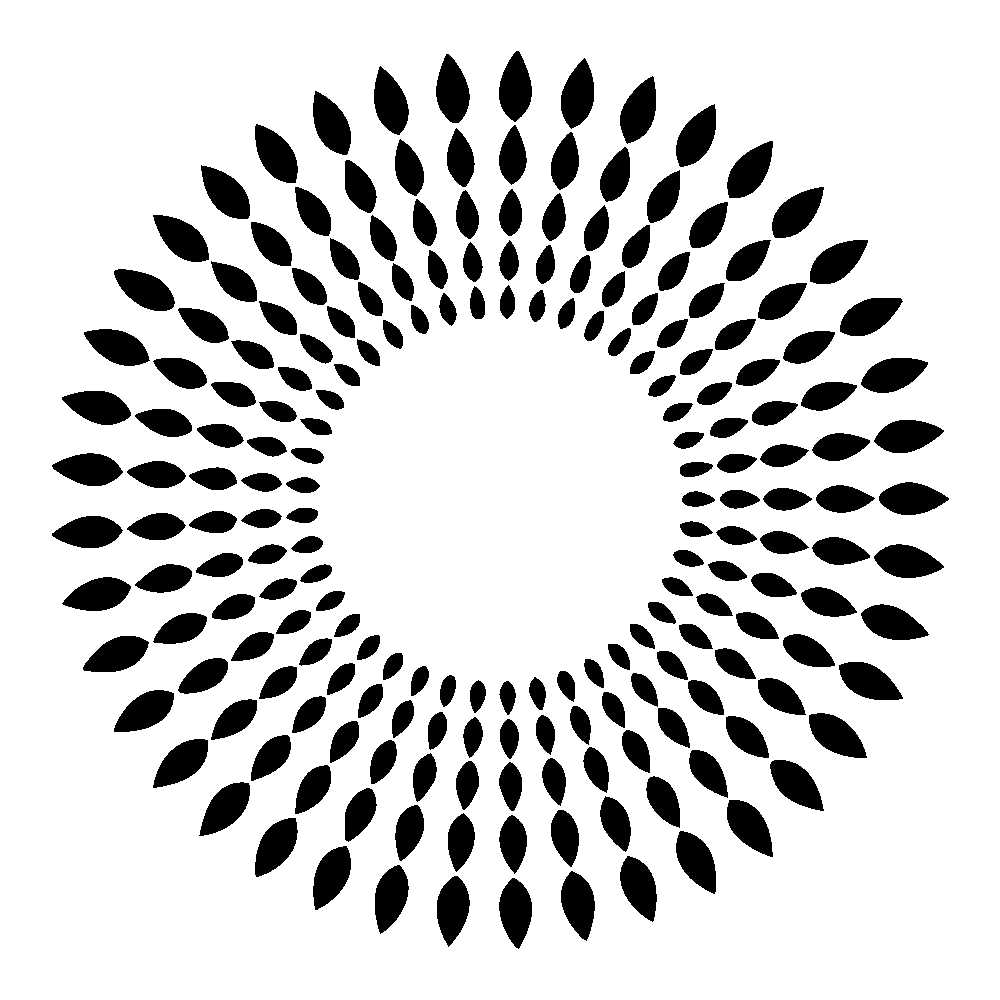 Travel Adventure Sticker by South African Tourism