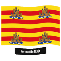 Islas Baleares Flag Sticker by Formación Ninja