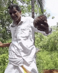 Gangnam Style Coconut GIF