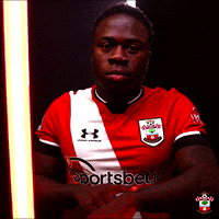 Premier League Football GIF by Southampton FC