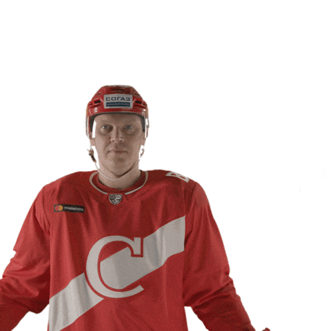 Spartakgoals Sticker by Spartak HC