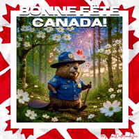 Castor Feux Dartifice GIF by TresorsDuMonde.ca