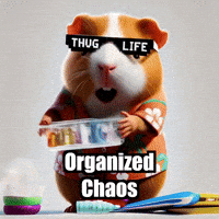 Diy Organization GIF by Guinea Gambino