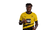 Lets Go Dance Sticker by Borussia Dortmund