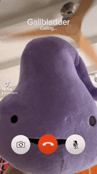 Facetime Calling GIF by I Heart Guts