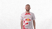 Oh Yeah Yes GIF by RB Leipzig
