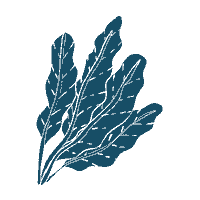 Juvenes food leaves salad juvenes Sticker