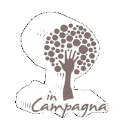 InCampagnaPL tree sicily sicilia arancia Sticker