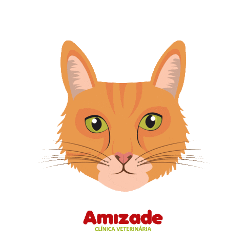 hospitalveterinarioamizade_ giphyupload cats pets gatos Sticker