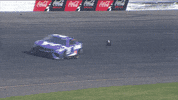 Austin Dillon Sport GIF by NASCAR
