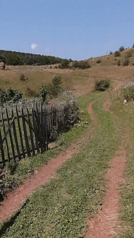 Simongip giphyupload GIF