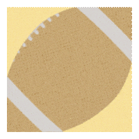 Purdue University Football GIF by Purdue For Life Foundation