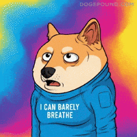 Shocked Shiba Inu GIF by Doge Pound