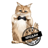 Kseniaep Sticker