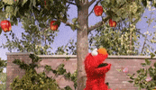 super grover elmo GIF by Sesame Street