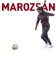 world cup football Sticker by PUMA