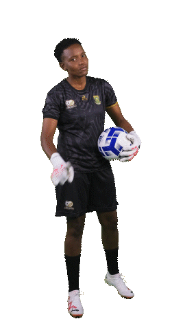 Celebration Banyanabanyana Sticker by Shield South Africa