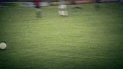 Roberto Baggio Juve GIF by JuventusFC