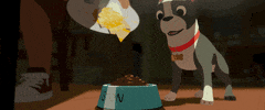boston terrier thanksgiving GIF by Disney