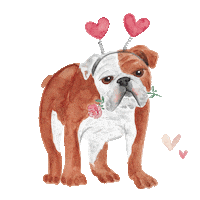 In Love Bulldog Sticker