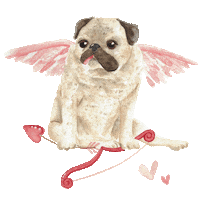Pug Mops Sticker