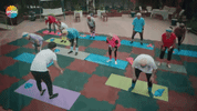 meleklerinaski GIF by Show TV
